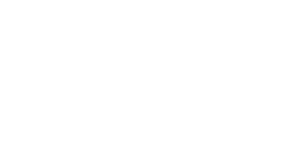 Wiz logo